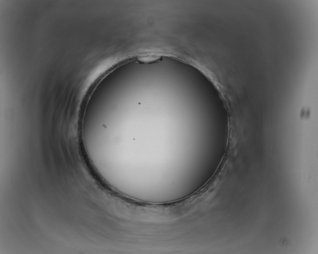 X0000092230008200709281113