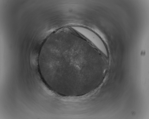 X0000092230009200709281113