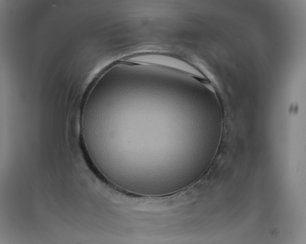 X0000092230011200709281113