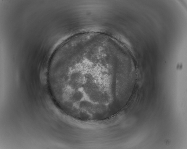 X0000092230012200709281113