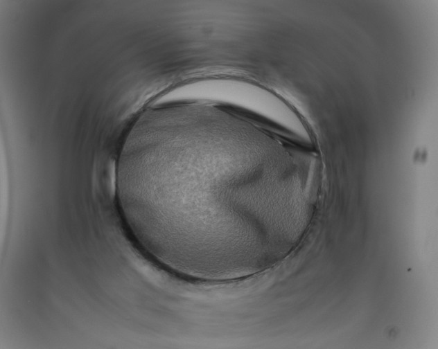 X0000092230013200709281113