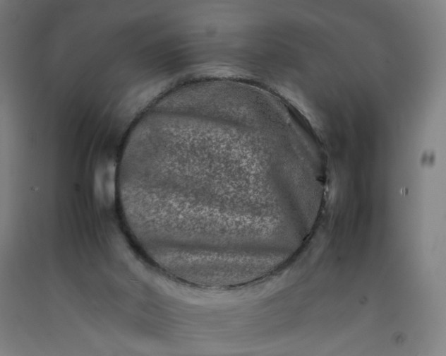 X0000092230014200709281113