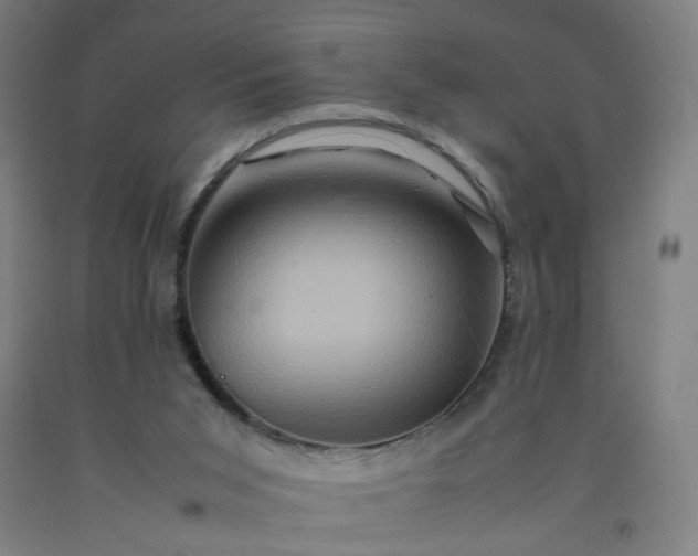 X0000092230015200709281113