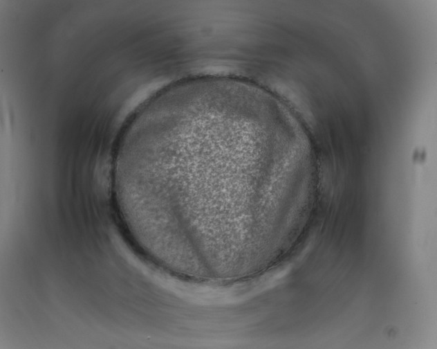 X0000092230016200709281113