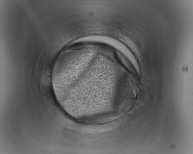 X0000092230017200709281113