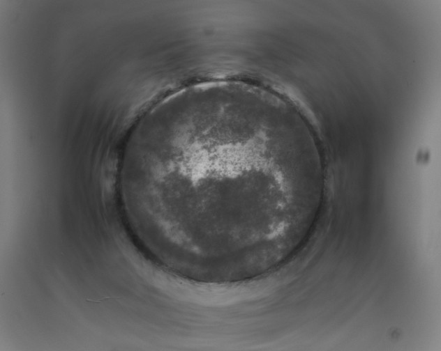 X0000092230018200709281113