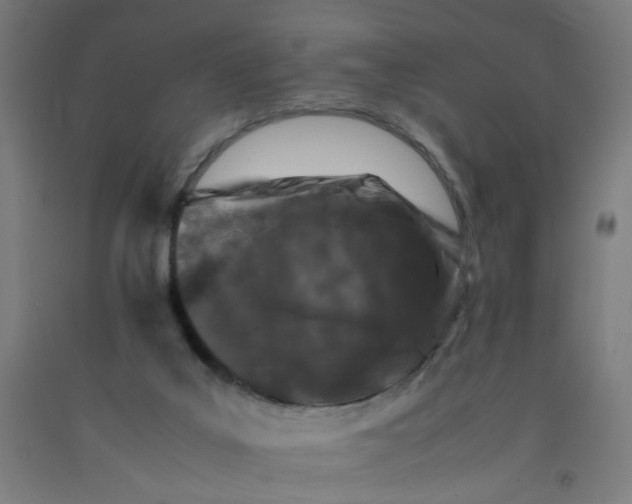 X0000092230019200709281113