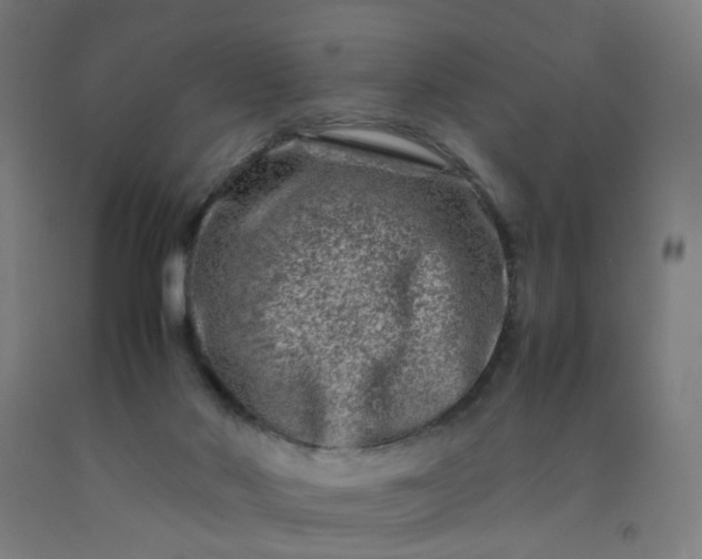 X0000092230022200709281113