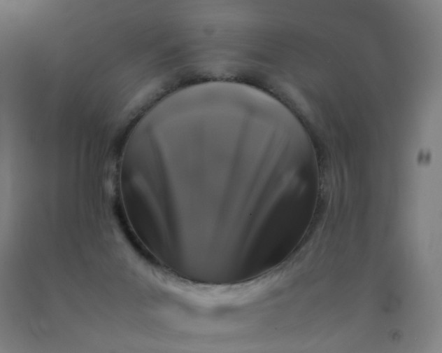 X0000092230023200709281113