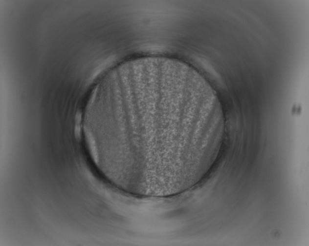 X0000092230024200709281113