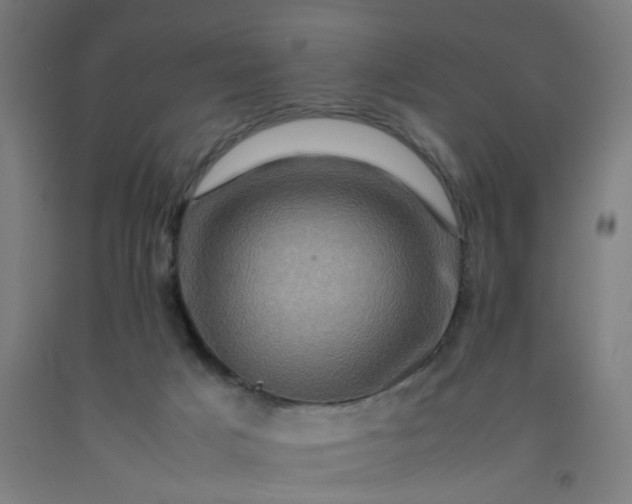 X0000092230025200709281113