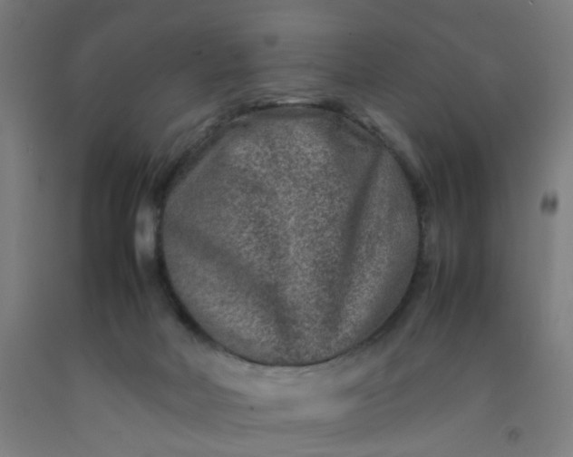 X0000092230026200709281113