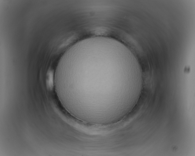 X0000092230028200709281113