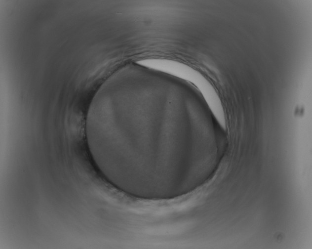 X0000092230029200709281113