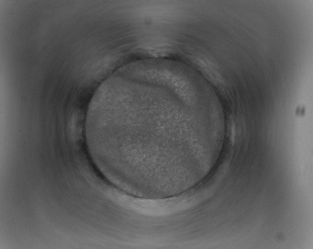 X0000092230030200709281113