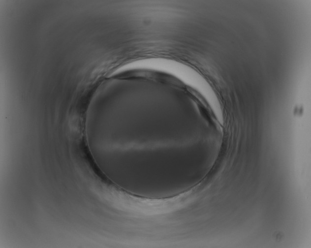 X0000092230031200709281113