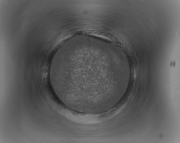 X0000092230032200709281113