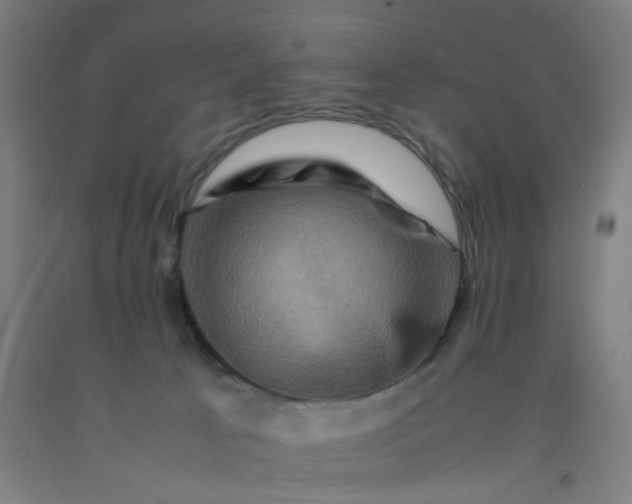 X0000092230033200709281113