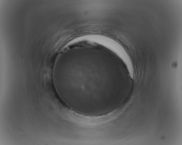 X0000092230035200709281113