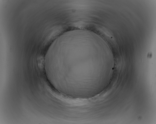 X0000092230036200709281113