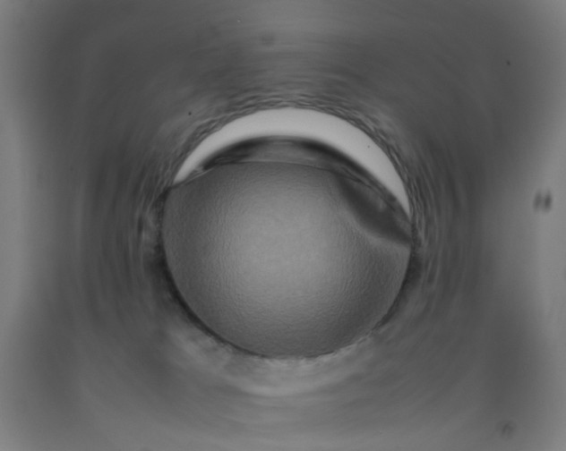 X0000092230037200709281113