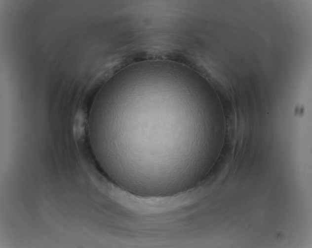 X0000092230038200709281113