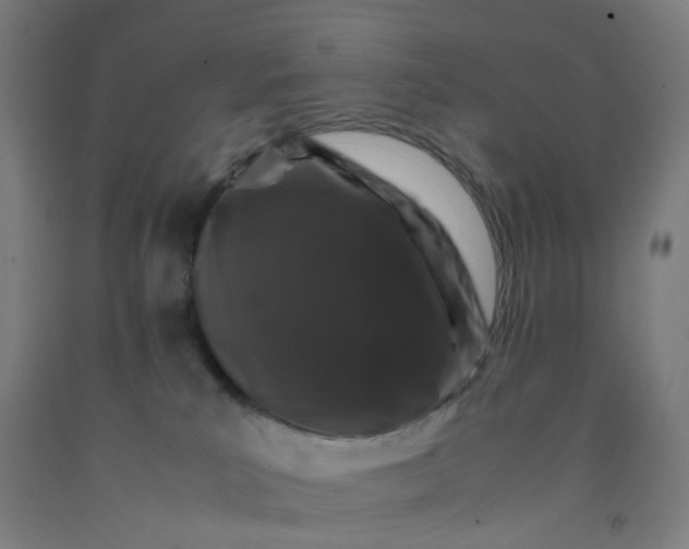 X0000092230039200709281113