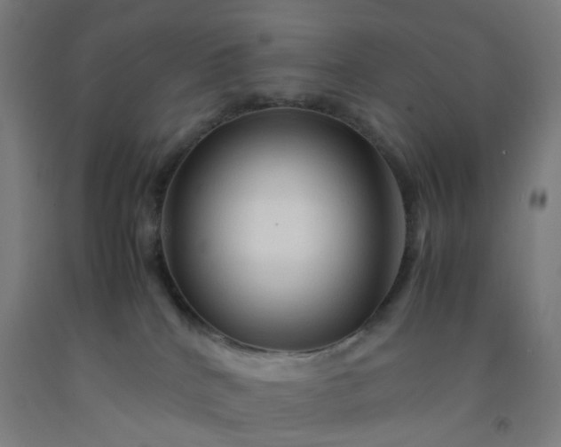 X0000092230040200709281113