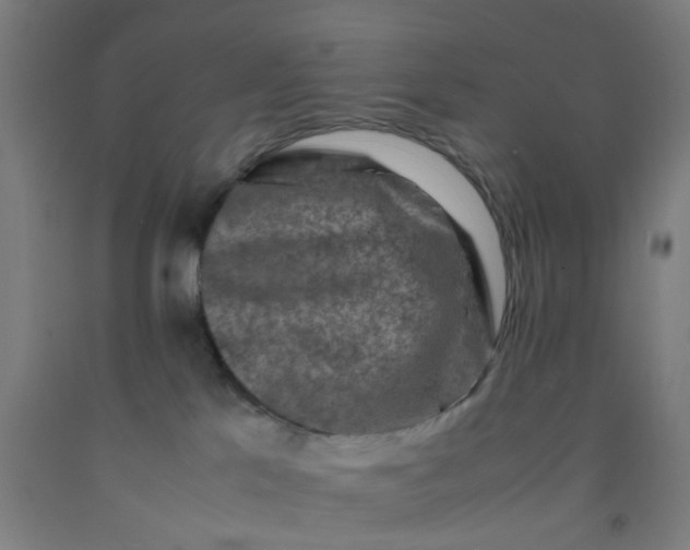 X0000092230041200709281113