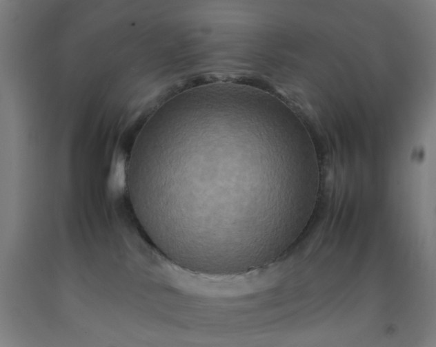 X0000092230042200709281113