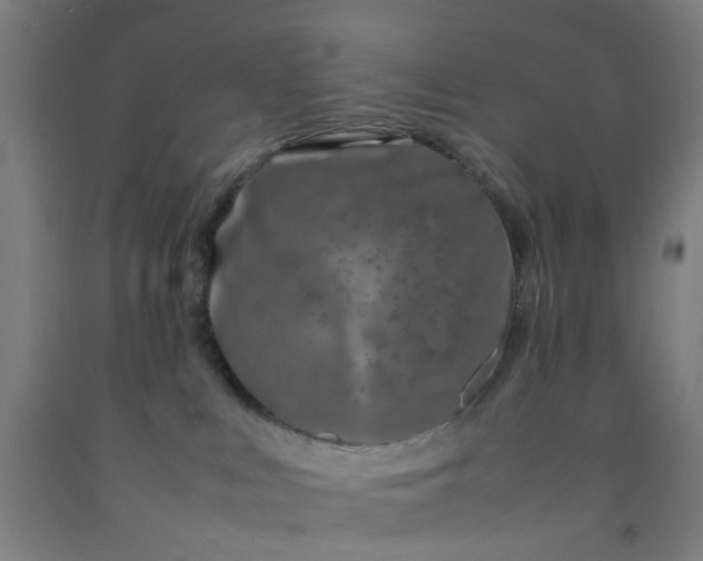 X0000092230043200709281113