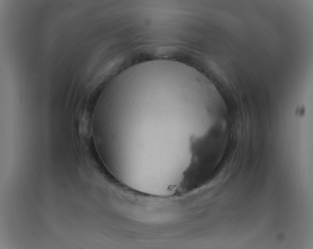 X0000092230044200709281113