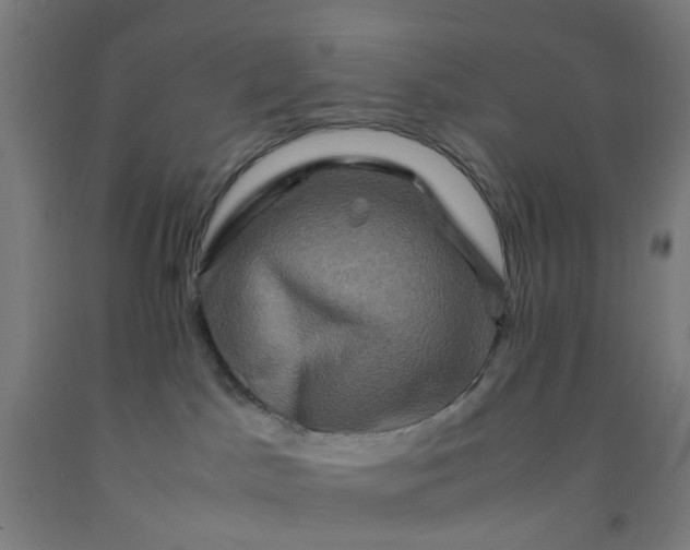 X0000092230045200709281113