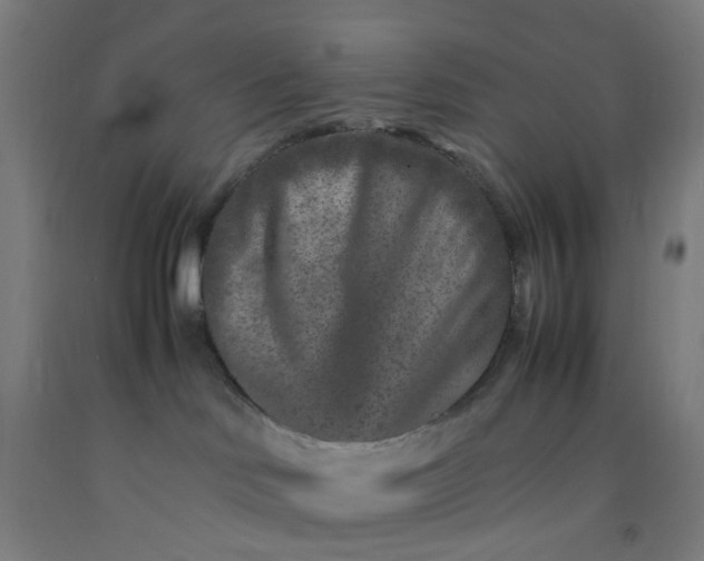 X0000092230046200709281113