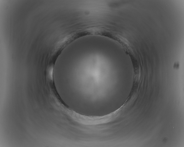 X0000092230047200709281113