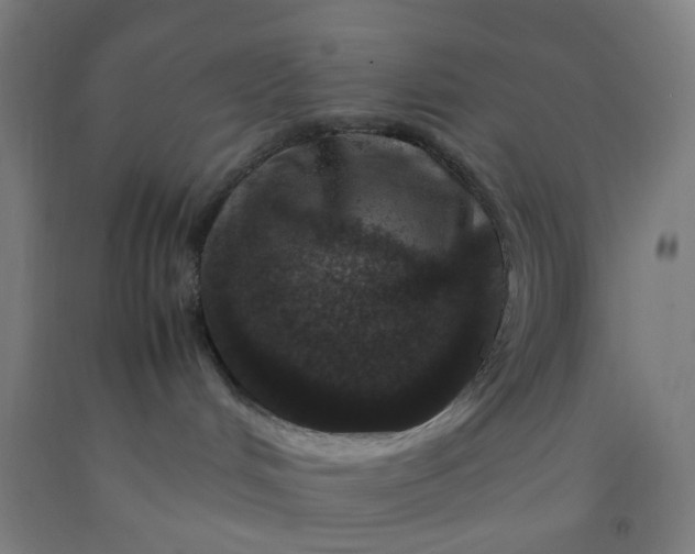 X0000092230048200709281113