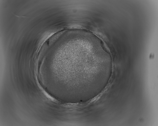 X0000092230049200709281112