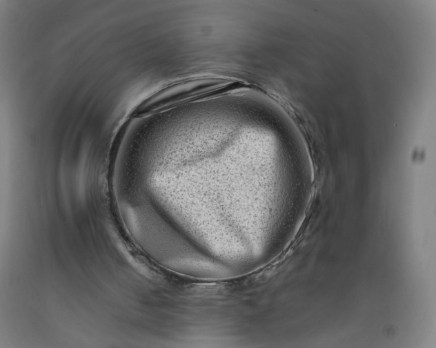 X0000092230050200709281112