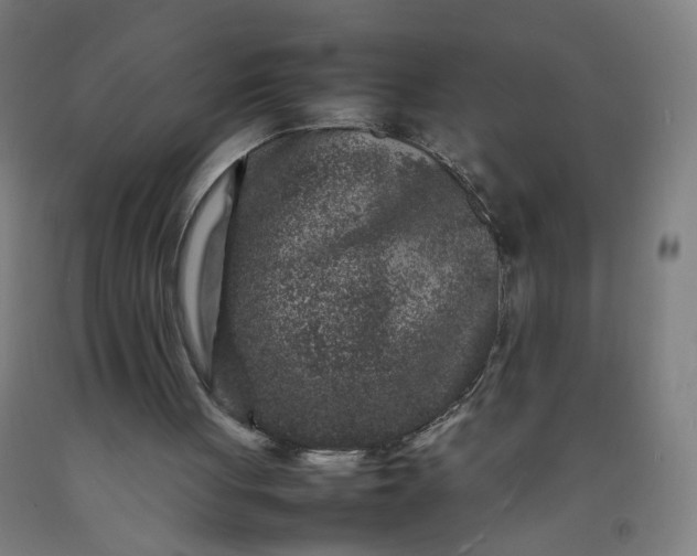 X0000092230051200709281112