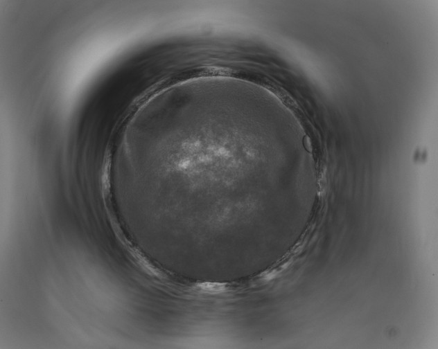 X0000092230052200709281112