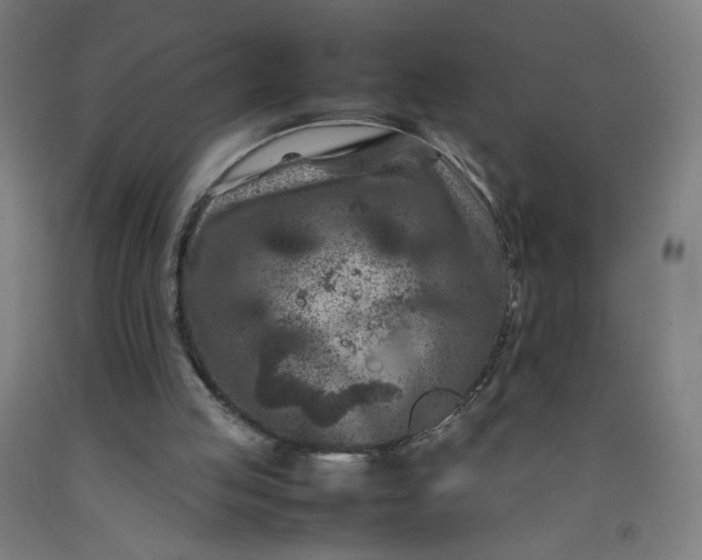 X0000092230053200709281112