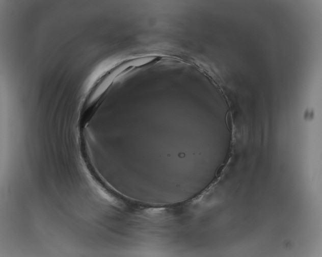 X0000092230054200709281112