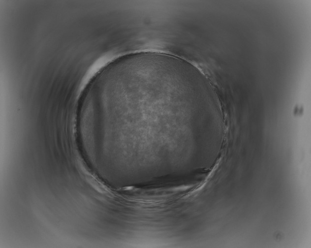 X0000092230056200709281112