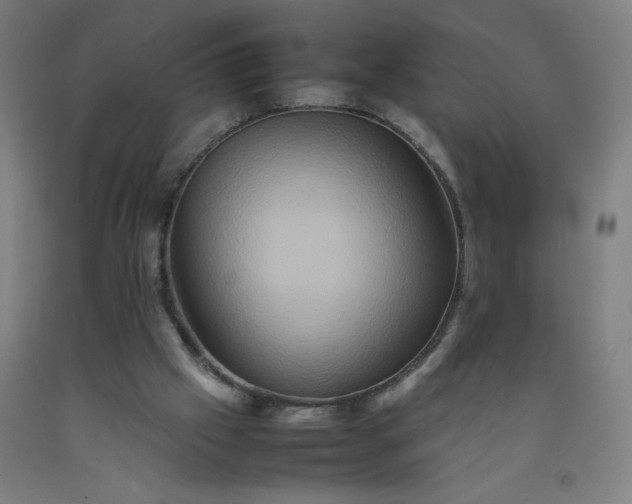 X0000092230057200709281112