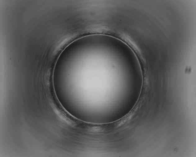 X0000092230058200709281112