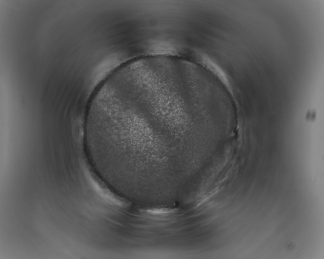 X0000092230059200709281112