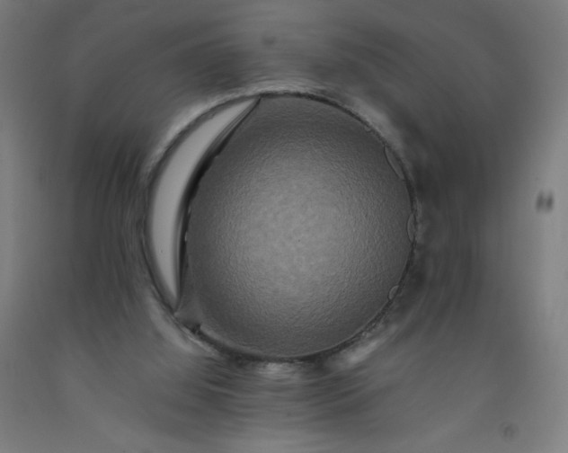 X0000092230060200709281112