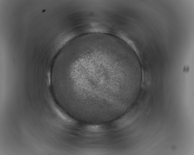 X0000092230061200709281112