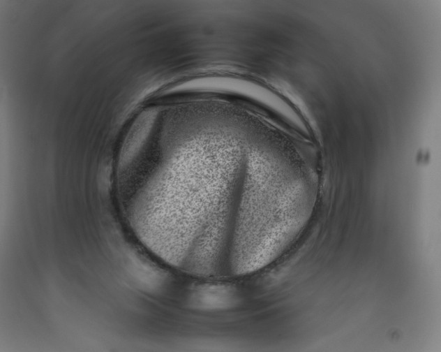 X0000092230063200709281112