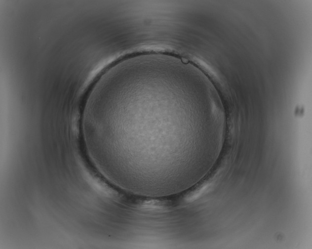 X0000092230064200709281112